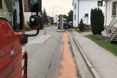 2021-05-17-THL-002